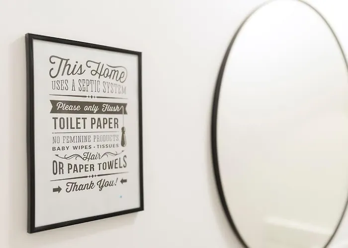 Bright In Old Town Timişoara